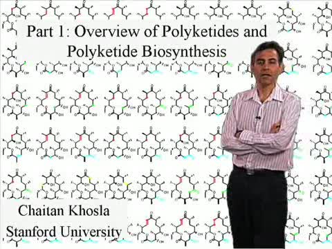 Preview of Polyketide Biosynthesis: The Erythromycin Example - Part 1: Overview of Polyketides and Polyketide Biosynthesis (34:10)